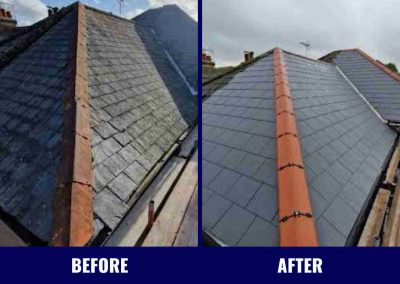 Quality roofing and painting services by Storm Shield